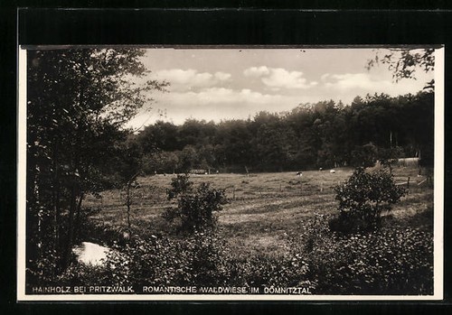 Postcard hainholz near - postcard,
